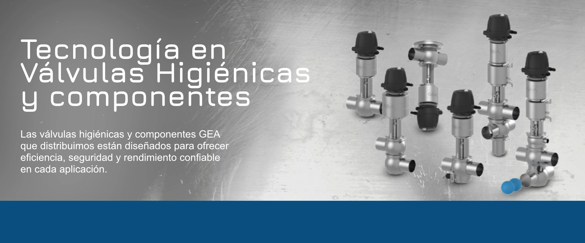 Válvulas_Web